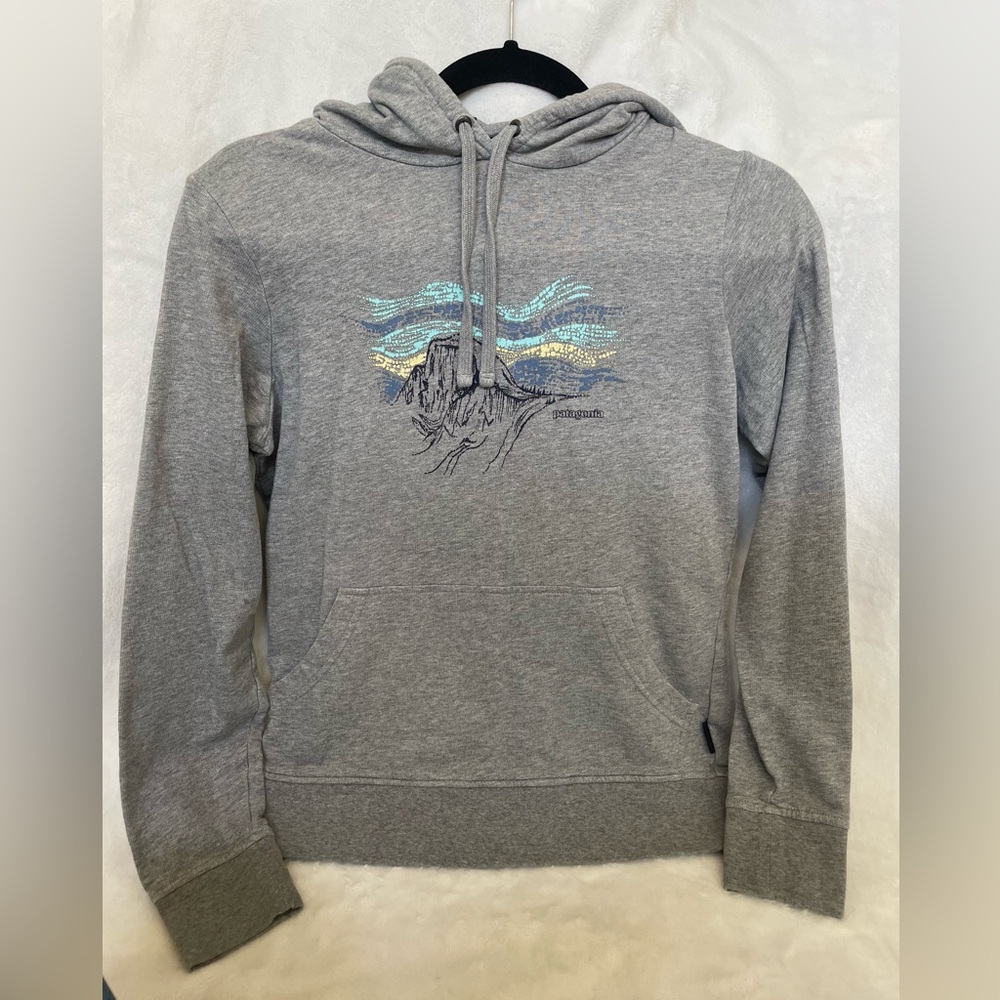 Patagonia Gray Hoodie with Mountain Graphic